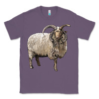 Lavender navajo churro sheep Classic Tee - LillyAllenDesigns