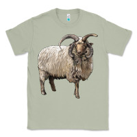 Matcha navajo churro sheep Classic Tee - LillyAllenDesigns
