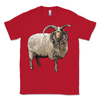 Red navajo churro sheep Classic Tee - LillyAllenDesigns