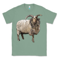 Sage navajo churro sheep Classic Tee - LillyAllenDesigns