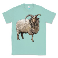 Seafoam navajo churro sheep Classic Tee - LillyAllenDesigns