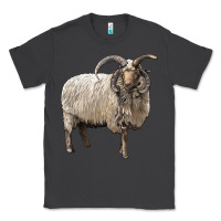Smoke navajo churro sheep Classic Tee - LillyAllenDesigns