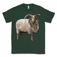 Sports Green navajo churro sheep Classic Tee - LillyAllenDesigns