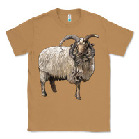 Toasted Coconut navajo churro sheep Classic Tee - LillyAllenDesigns