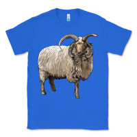 True Royal navajo churro sheep Classic Tee - LillyAllenDesigns