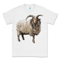 White navajo churro sheep Classic Tee - LillyAllenDesigns