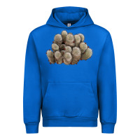 Cobalt brown flowered cactus Urban Hoodie - LillyAllenDesigns