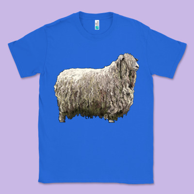 Lincoln Sheep Classic Tee Designed By Lillyallendesigns