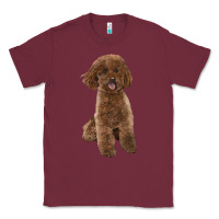 Burgundy Poodles Dog lllustrations Classic Tee - LillyAllenDesigns