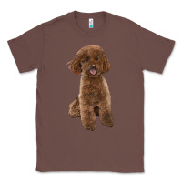 Chestnut Poodles Dog lllustrations Classic Tee - LillyAllenDesigns