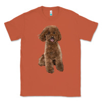 Copper Poodles Dog lllustrations Classic Tee - LillyAllenDesigns