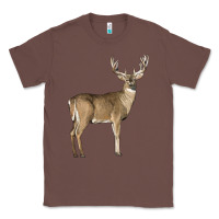Chestnut white tailed buck deer Classic Tee - LillyAllenDesigns