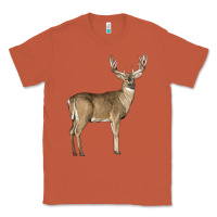 Copper white tailed buck deer Classic Tee - LillyAllenDesigns