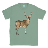 Sage white tailed buck deer Classic Tee - LillyAllenDesigns