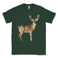 Sports Green white tailed buck deer Classic Tee - LillyAllenDesigns