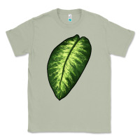 Matcha Dumb Cane Leaf Classic Tee - LillyAllenDesigns