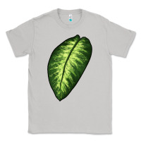 Moon Dust Dumb Cane Leaf Classic Tee - LillyAllenDesigns