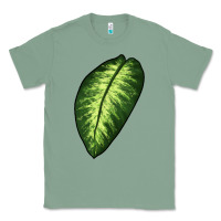 Sage Dumb Cane Leaf Classic Tee - LillyAllenDesigns