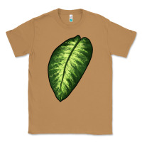 Toasted Coconut Dumb Cane Leaf Classic Tee - LillyAllenDesigns