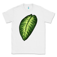 White Dumb Cane Leaf Classic Tee - LillyAllenDesigns