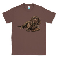 Chestnut Sussex Spaniels llustrations Classic Tee - LillyAllenDesigns