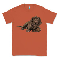 Copper Sussex Spaniels llustrations Classic Tee - LillyAllenDesigns