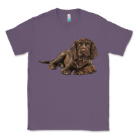 Lavender Sussex Spaniels llustrations Classic Tee - LillyAllenDesigns