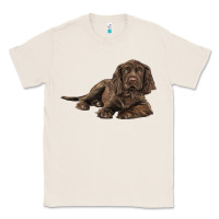 Natural Sussex Spaniels llustrations Classic Tee - LillyAllenDesigns