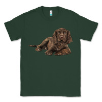 Sports Green Sussex Spaniels llustrations Classic Tee - LillyAllenDesigns