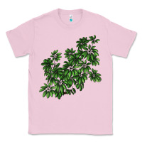 Bubblegum Pink Botanical Schefflera Illustrations Classic Tee - LillyAllenDesigns
