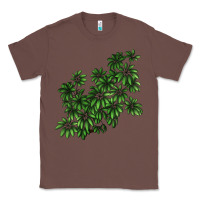 Chestnut Botanical Schefflera Illustrations Classic Tee - LillyAllenDesigns