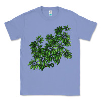 Colony Blue Botanical Schefflera Illustrations Classic Tee - LillyAllenDesigns