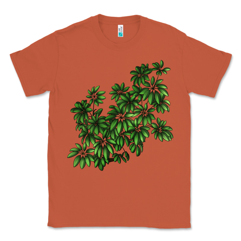 Botanical Schefflera Illustrations Classic Tee by LillyAllenDesigns | Teevron
