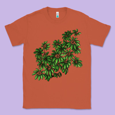 Botanical Schefflera Illustrations Classic Tee Designed By Lillyallendesigns