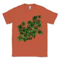 Copper Botanical Schefflera Illustrations Classic Tee - LillyAllenDesigns