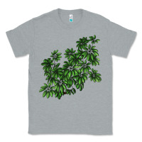 Heather Grey Botanical Schefflera Illustrations Classic Tee - LillyAllenDesigns