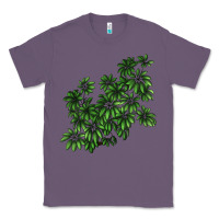 Lavender Botanical Schefflera Illustrations Classic Tee - LillyAllenDesigns