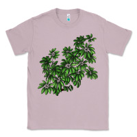 Lilac Botanical Schefflera Illustrations Classic Tee - LillyAllenDesigns