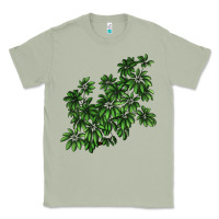 Matcha Botanical Schefflera Illustrations Classic Tee - LillyAllenDesigns