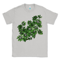 Moon Dust Botanical Schefflera Illustrations Classic Tee - LillyAllenDesigns