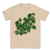 Mushroom Botanical Schefflera Illustrations Classic Tee - LillyAllenDesigns