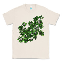 Natural Botanical Schefflera Illustrations Classic Tee - LillyAllenDesigns