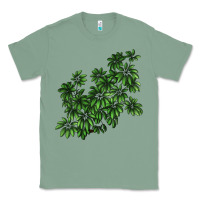 Sage Botanical Schefflera Illustrations Classic Tee - LillyAllenDesigns