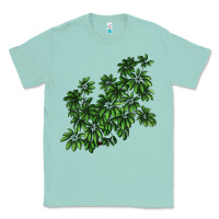 Seafoam Botanical Schefflera Illustrations Classic Tee - LillyAllenDesigns