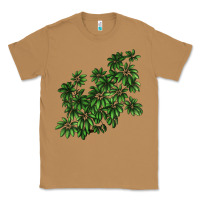 Toasted Coconut Botanical Schefflera Illustrations Classic Tee - LillyAllenDesigns