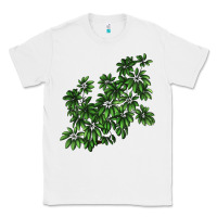 White Botanical Schefflera Illustrations Classic Tee - LillyAllenDesigns