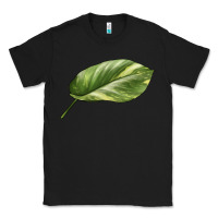 Black Golden Pothos Leaf Classic Tee - LillyAllenDesigns