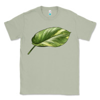 Matcha Golden Pothos Leaf Classic Tee - LillyAllenDesigns