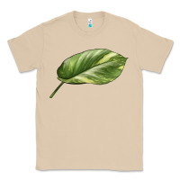 Mushroom Golden Pothos Leaf Classic Tee - LillyAllenDesigns