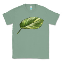 Sage Golden Pothos Leaf Classic Tee - LillyAllenDesigns